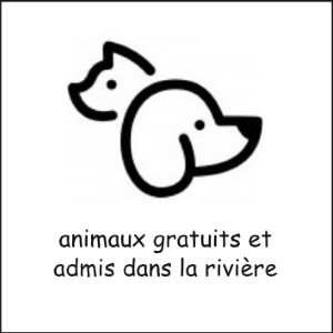 animaux