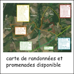 cartes